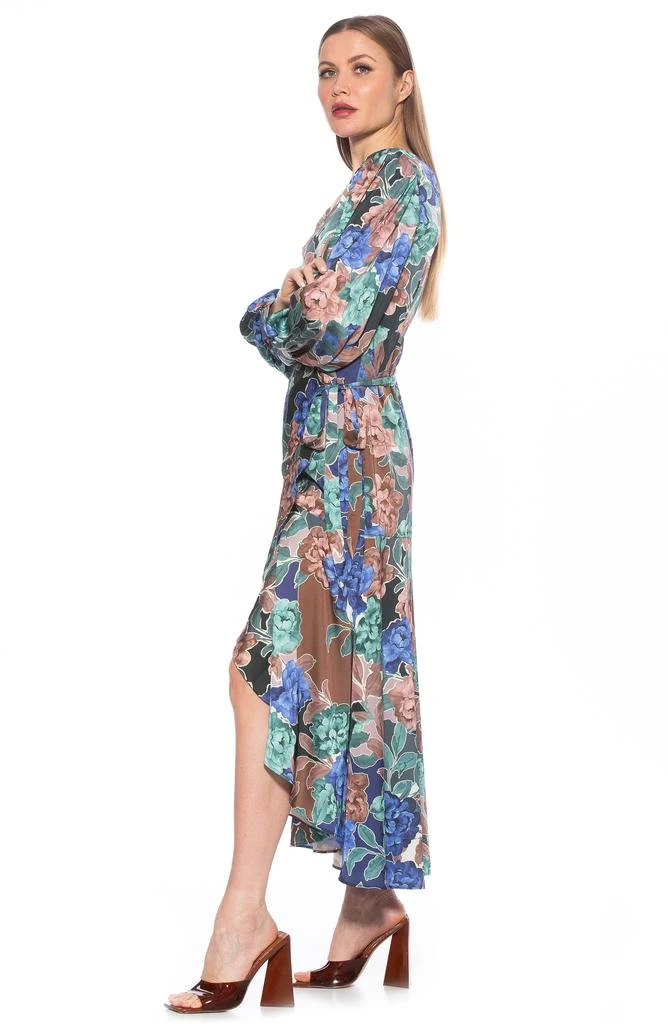 Floral Long Sleeve Wrap Maxi Dress 商品