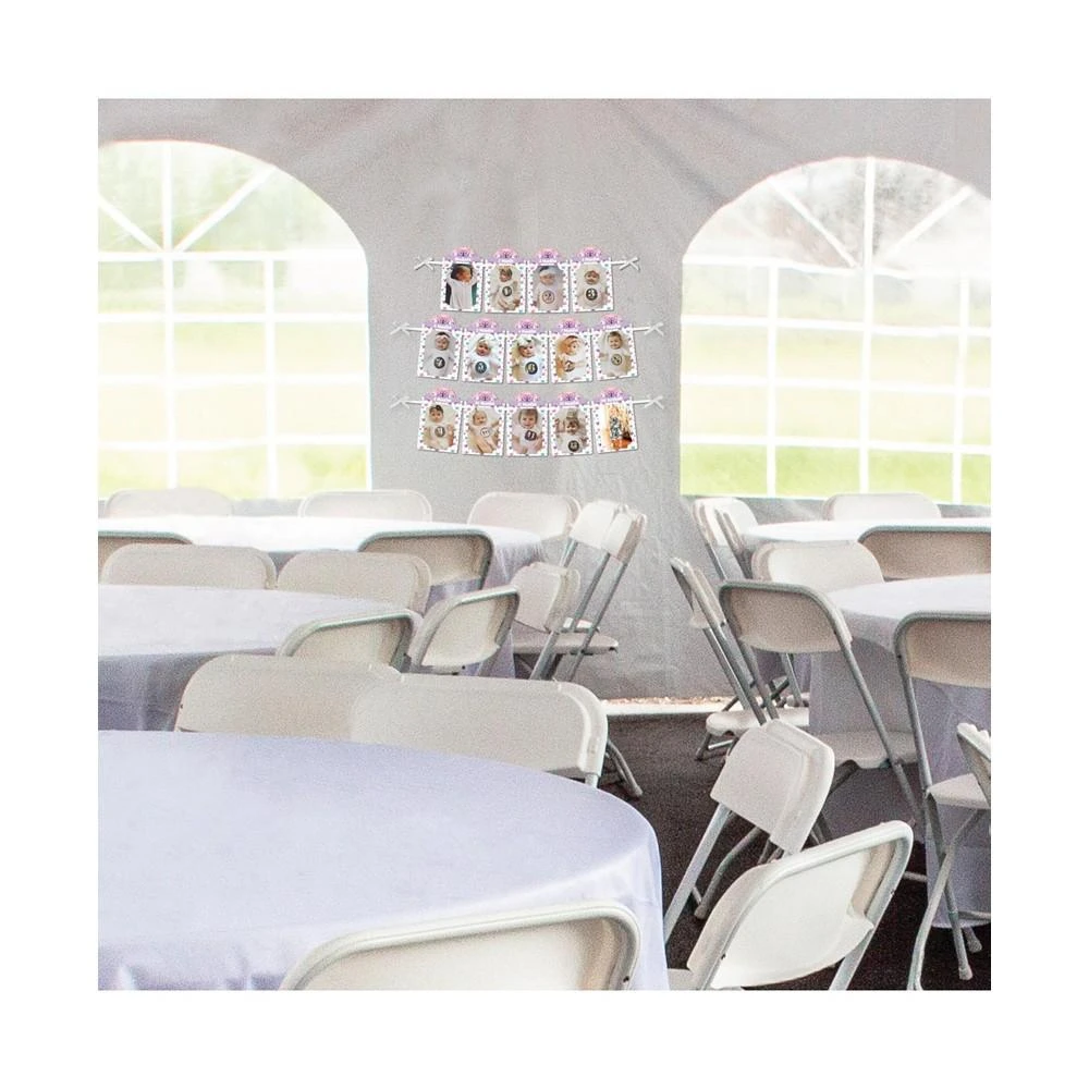 商品Big Dot of Happiness|1st Birthday Beautiful Butterfly - DIY 1-12 Monthly Picture Display Photo Banner,价格¥119,第3张图片详细描述