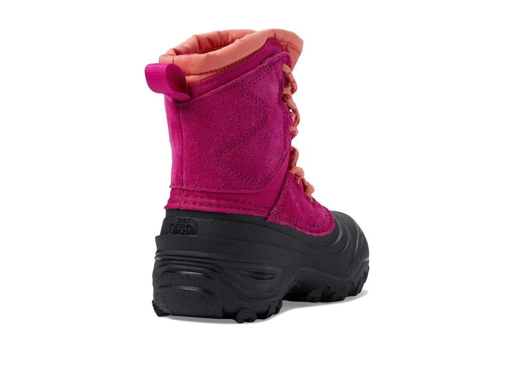 商品The North Face|Alpenglow V Waterproof (Toddler/Little Kid/Big Kid),价格¥408,第5张图片详细描述