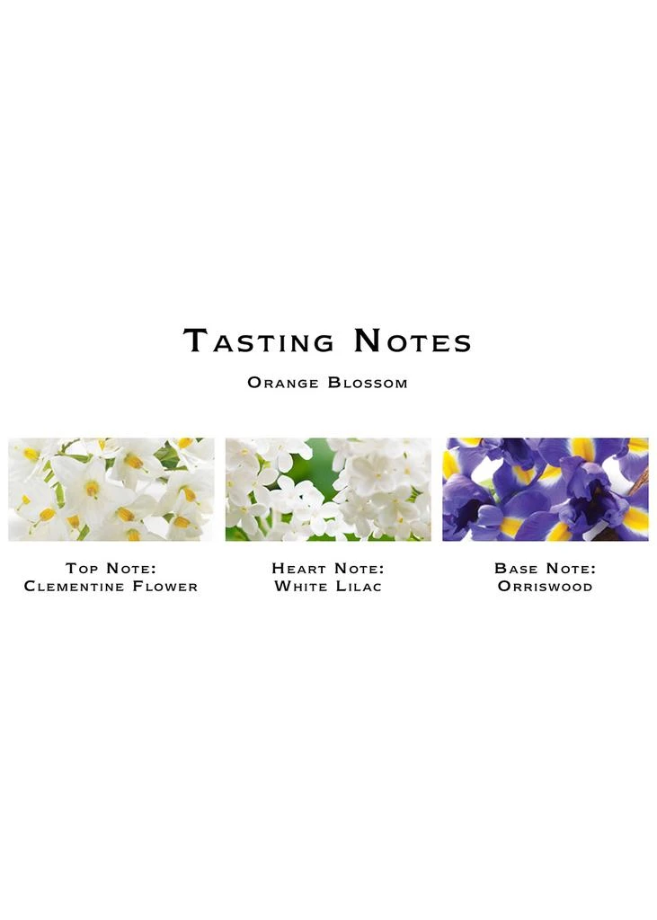 商品Jo Malone London|Orange Blossom Body Crème 175ml,价格¥626,第3张图片详细描述
