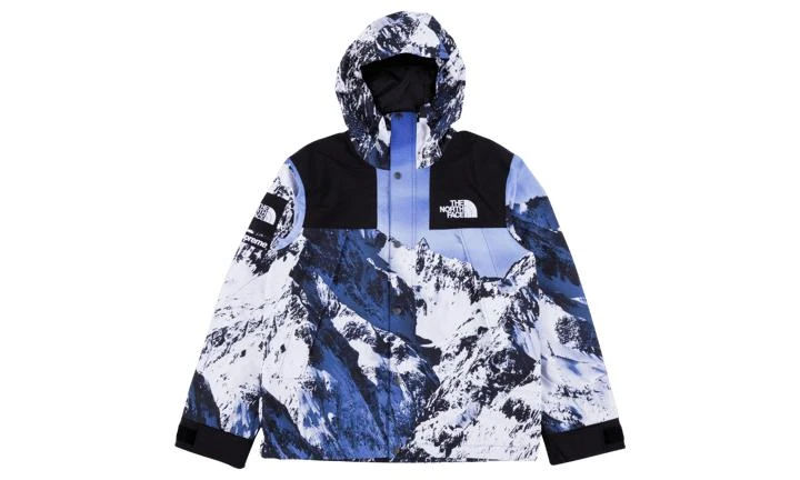 商品Supreme|Supreme TNF Mountain Parka,价格¥16431,第1张图片