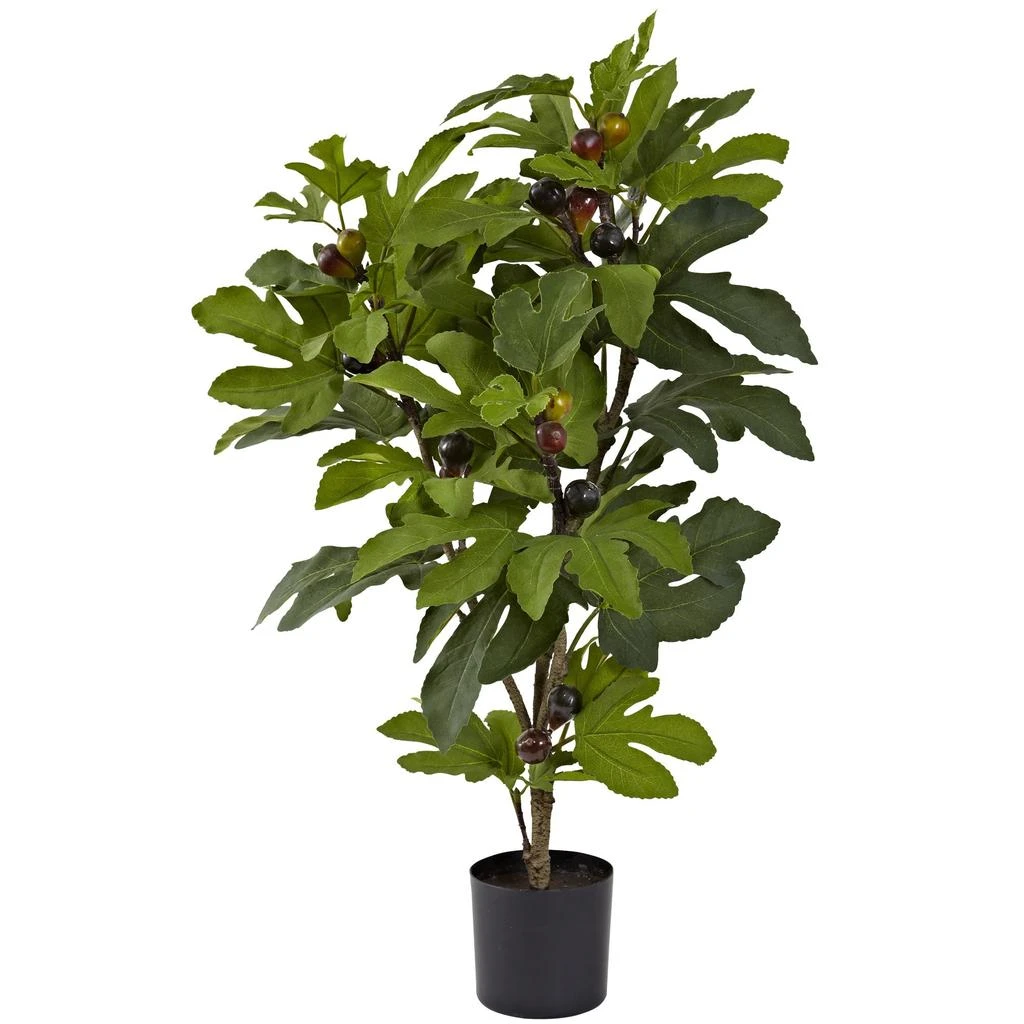 商品HomPlanti|32" Fig Tree w/42 Lvs & 15 Fruits,价格¥630,第1张图片