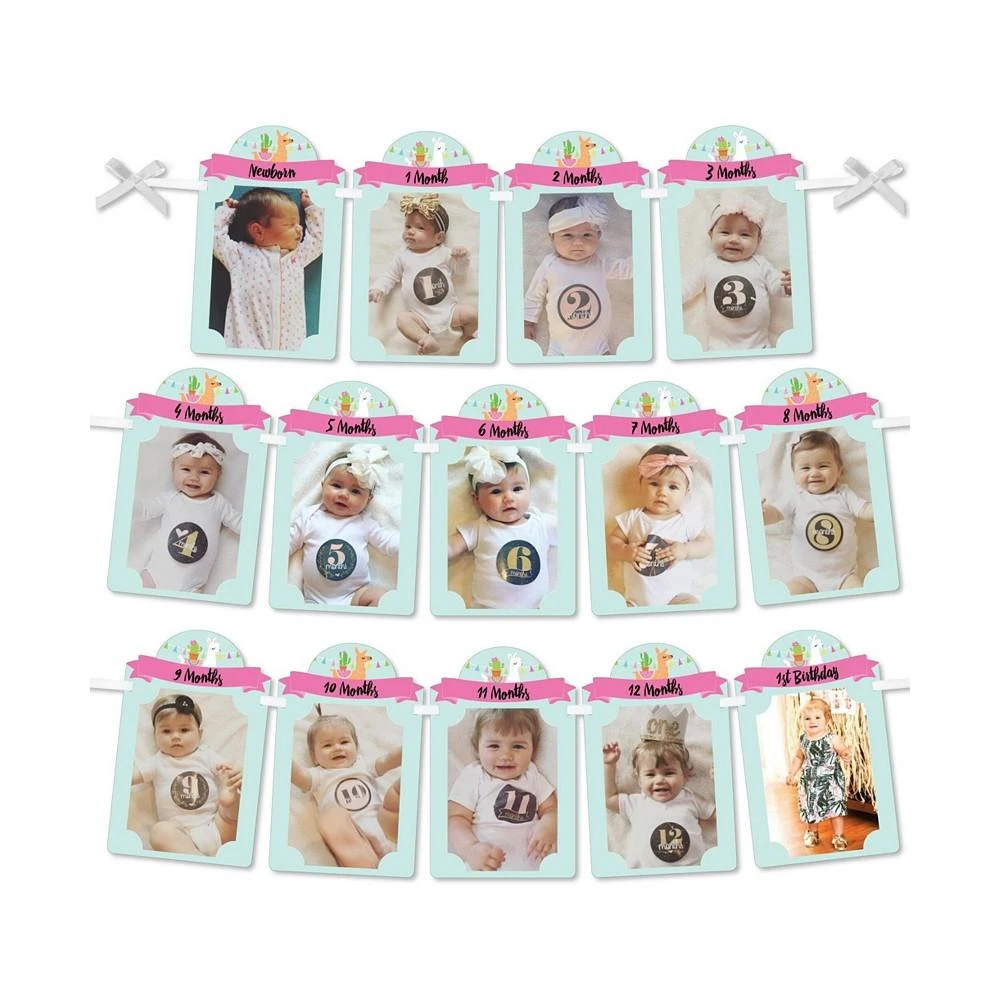 商品Big Dot of Happiness|1st Birthday Whole Llama Fun - DIY Party Decor - Picture Display - Photo Banner,价格¥119,第1张图片