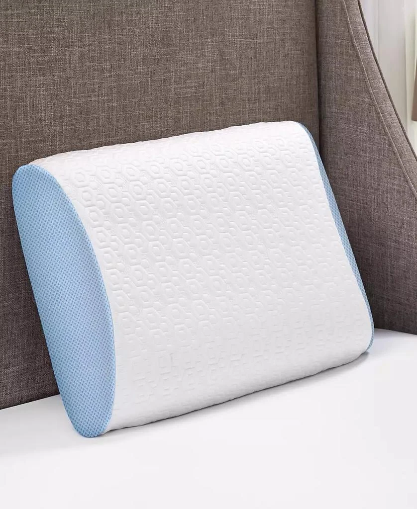 商品BodiPEDIC|Supreme Cool Aerofusion Memory Foam Pillow,价格¥256,第1张图片
