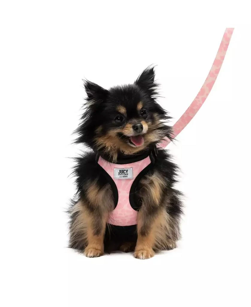 商品Juicy Couture|2-Piece Harness Leash Set, X-Small,价格¥85,第1张图片