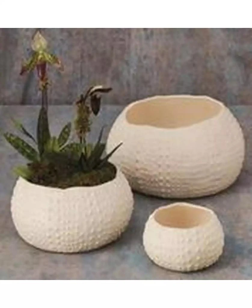 商品Global Views|Ceramic Urchin Bowl Small,价格¥637,第3张图片详细描述