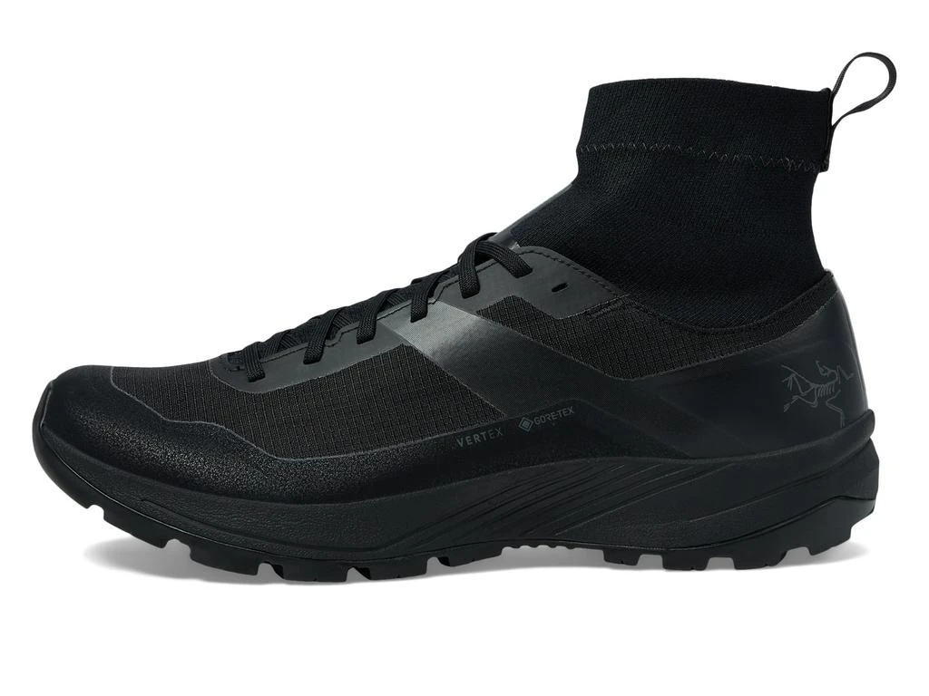 商品Arc'teryx|Vertex GTX,价格¥1699,第4张图片详细描述