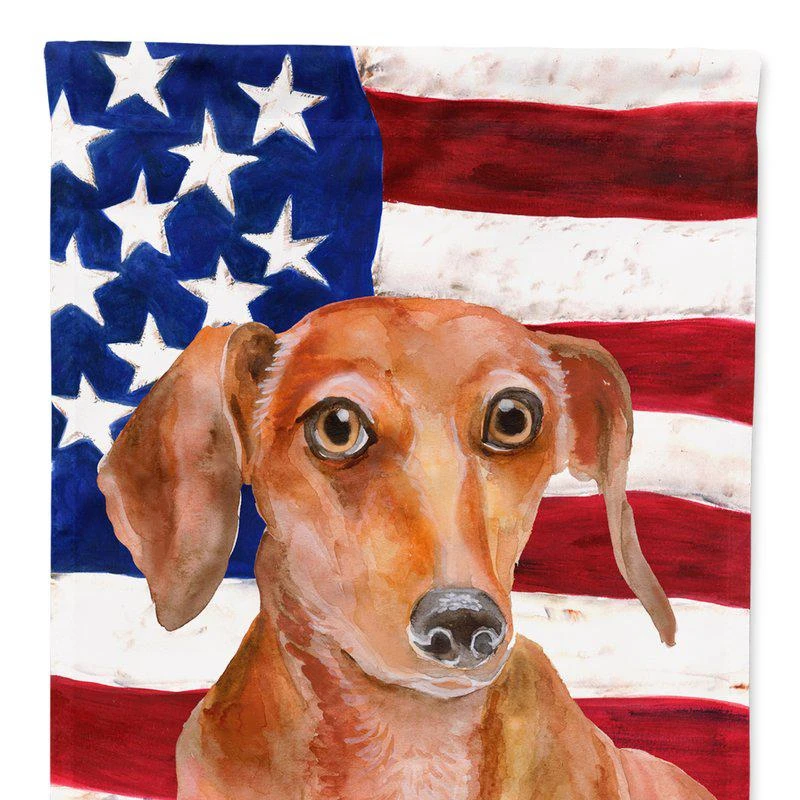 商品Caroline's Treasures|11 x 15 1/2 in. Polyester Red Dachshund Patriotic Garden Flag 2-Sided 2-Ply,价格¥135,第1张图片