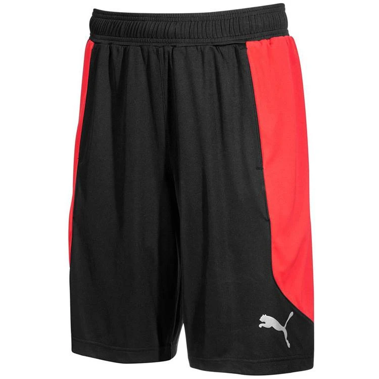 商品Puma|Men's 10" Colorblocked Shorts,价格¥135,第1张图片