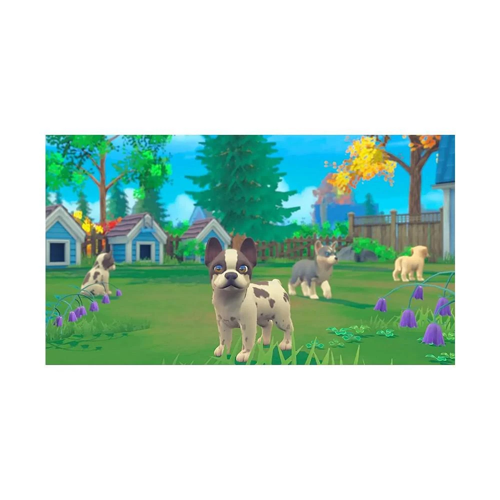 商品Maximum Games|My Universe: Puppies and Kittens - Nintendo Switch,价格¥224,第3张图片详细描述