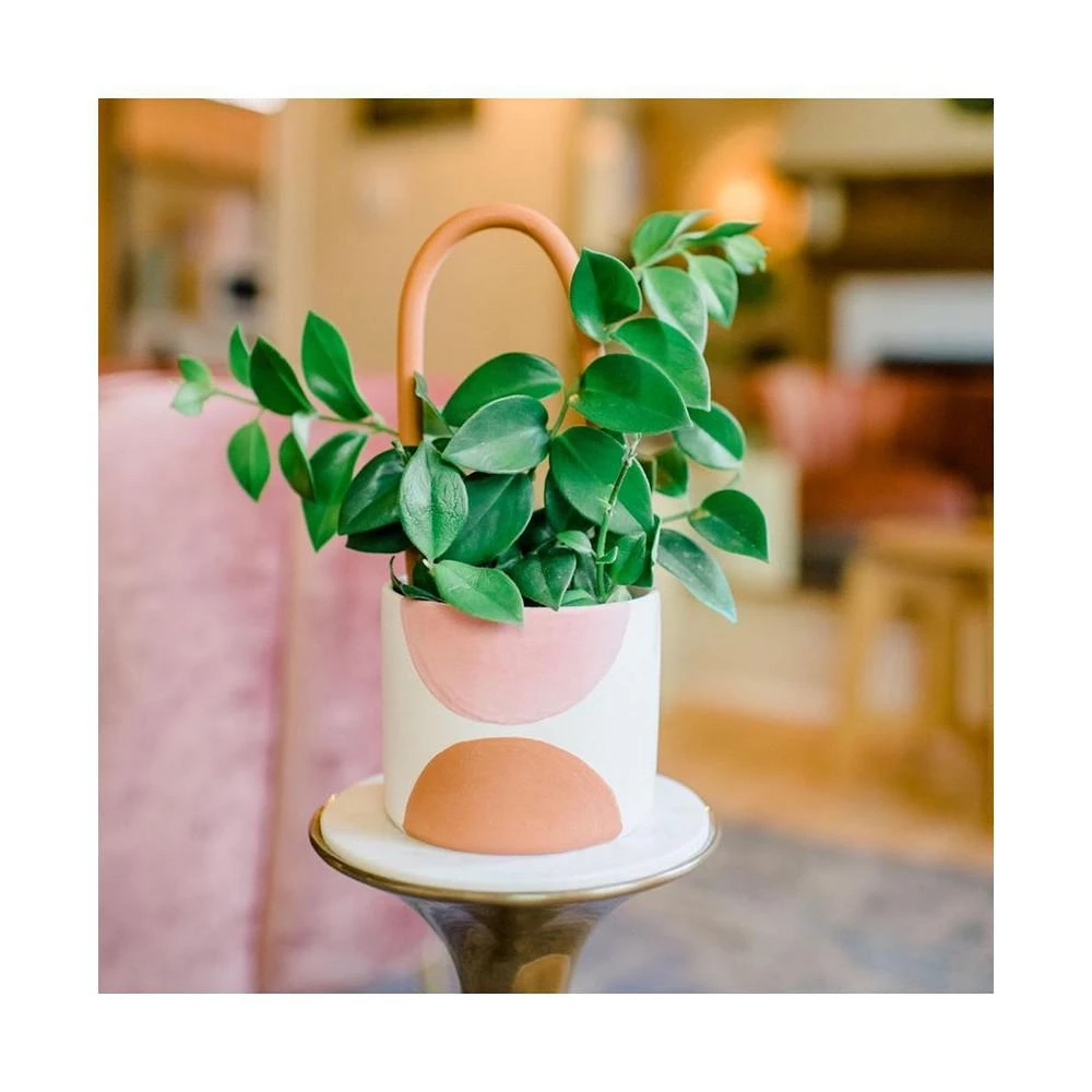 商品Tierra Sol Studio|Plant Support Stake - Terracotta Loop,价格¥262,第3张图片详细描述
