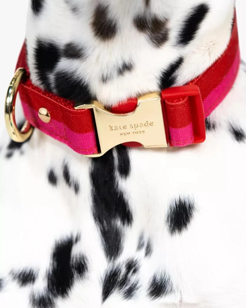 商品Kate Spade|Colorblock Collar,价格¥214,第4张图片详细描述