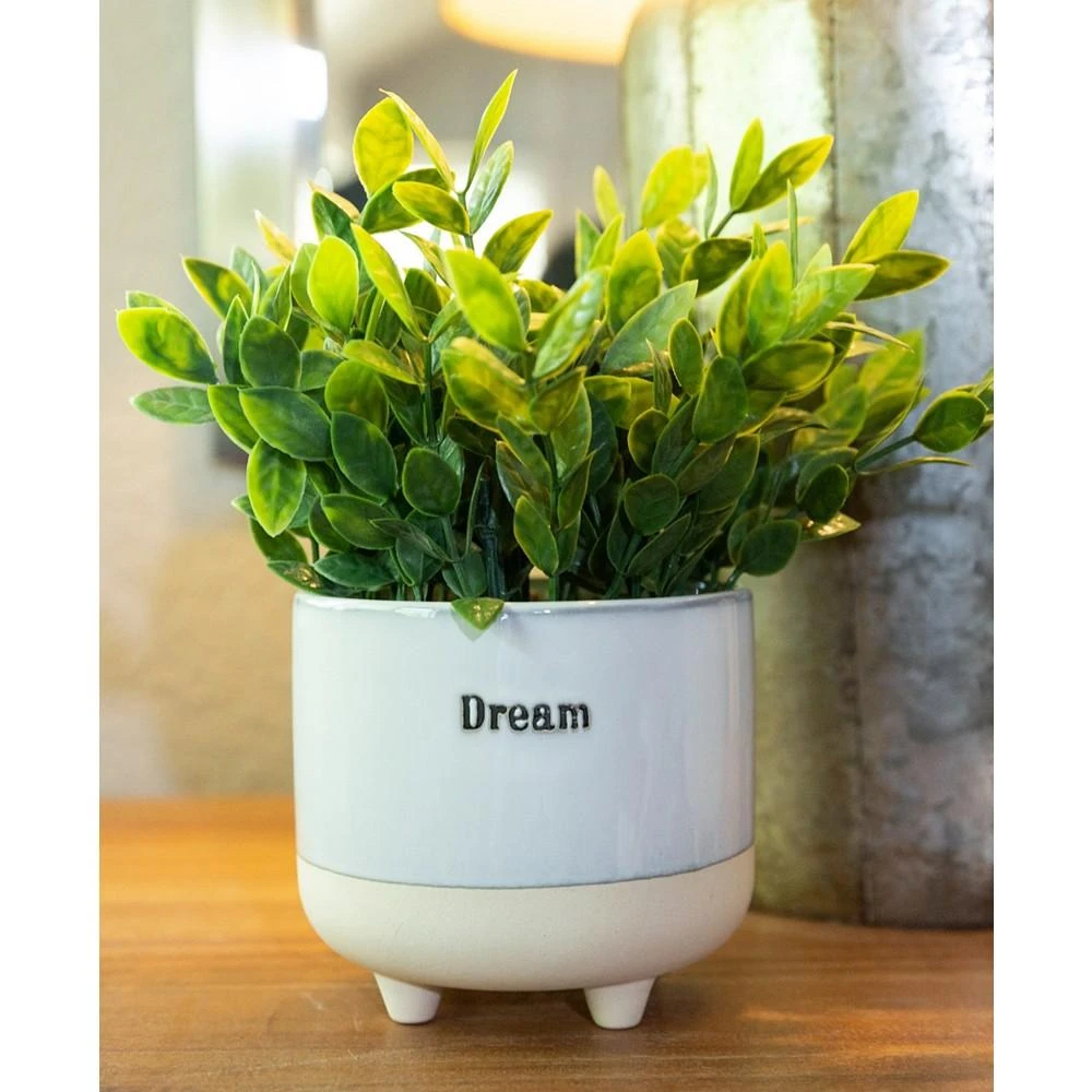 商品Flora Bunda|9.5" Artificial Eucalyptus in 4.75" Love Text and Artificial Tea Leaf in Dream Text Ceramic Footed Pot, Set of 2,价格¥366,第3张图片详细描述