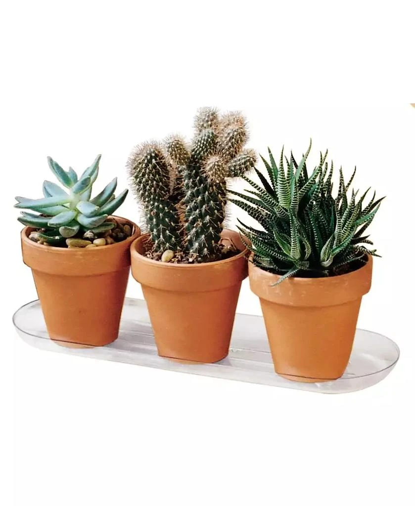 商品Plastec|Plantpak Oval Saucer, Clear, 18inL x 6in W,价格¥132,第2张图片详细描述