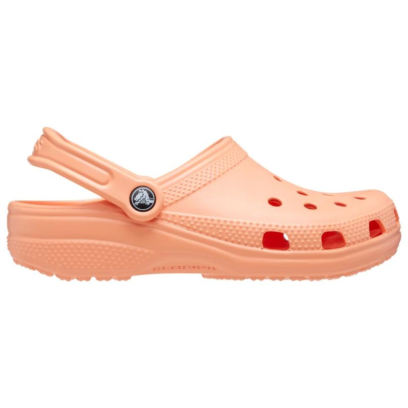 商品Crocs|Crocs Classic Clogs - Women's,价格¥230,第1张图片