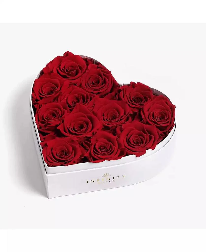 商品Infinity Roses|Heart Box of 12 Red Real Roses Preserved to Last Over a Year,价格¥1264,第1张图片