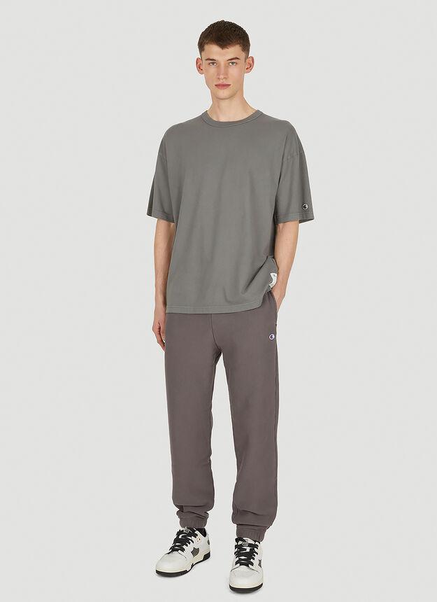 商品CHAMPION|Premium Plus T-Shirt in Grey,价格¥258,第4张图片详细描述