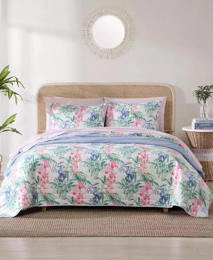 商品Tommy Bahama|Island Orchid Reversible 3 Piece Quilt Set,价格¥801,第1张图片