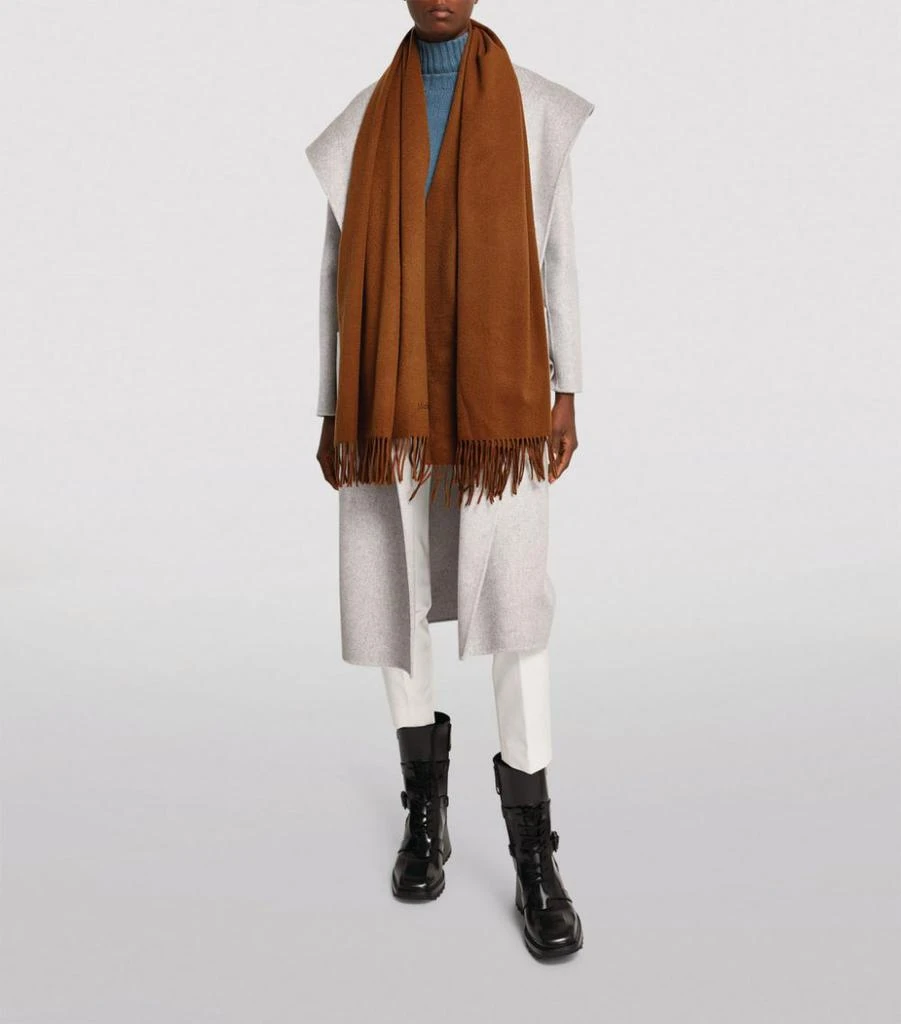 商品Max Mara|Cashmere Fringed Scarf,价格¥6013,第2张图片详细描述