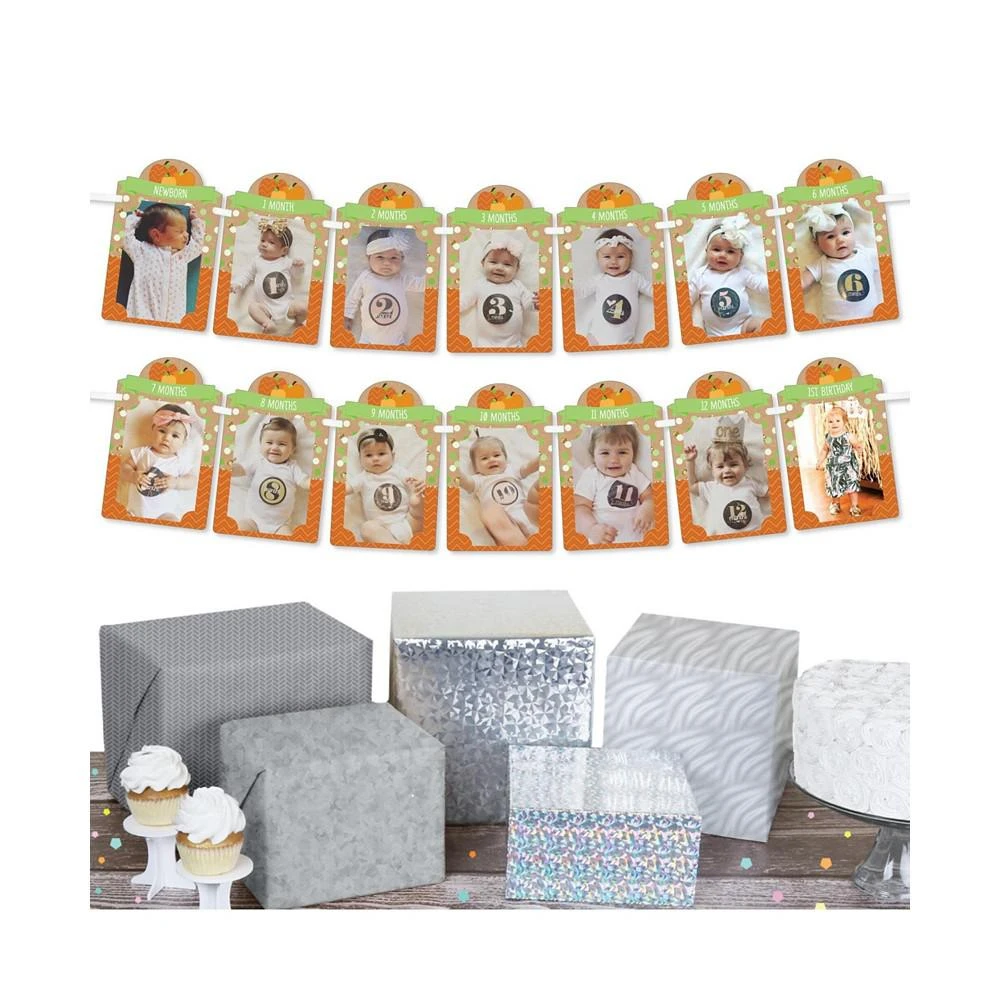 商品Big Dot of Happiness|Pumpkin Patch - DIY Fall, Halloween or Thanksgiving Birthday Party Decor - 1-12 Monthly Picture Display - Photo Banner,价格¥120,第2张图片详细描述
