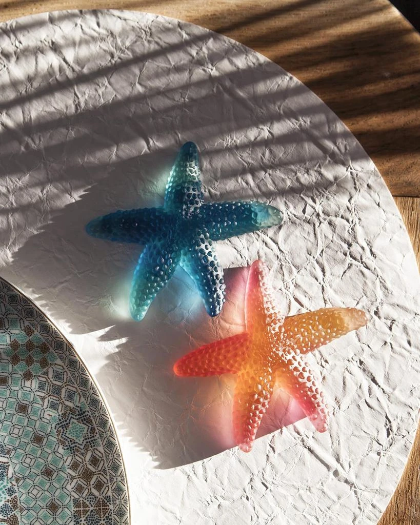 商品Daum|Coral Sea Starfish, Amber/Red,价格¥3482,第2张图片详细描述