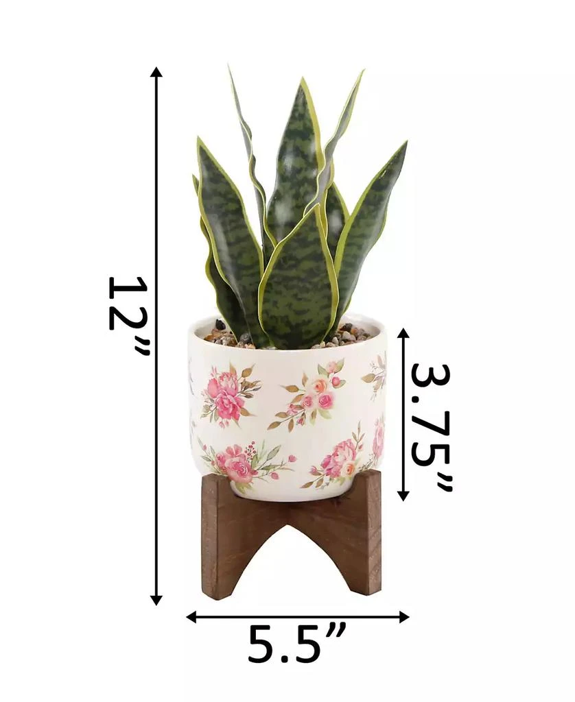 商品Flora Bunda|12" Snake Plant in Ceramic on Stand,价格¥180,第2张图片详细描述