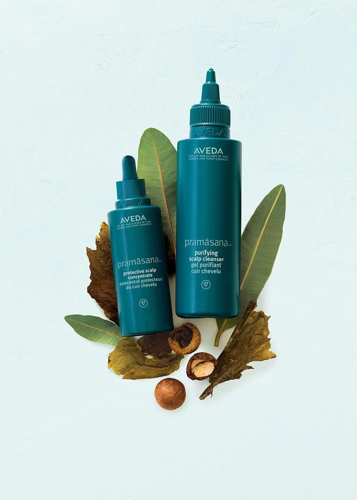 商品Aveda|Scalp Renewal Concentrate 75ml,价格¥384,第2张图片详细描述