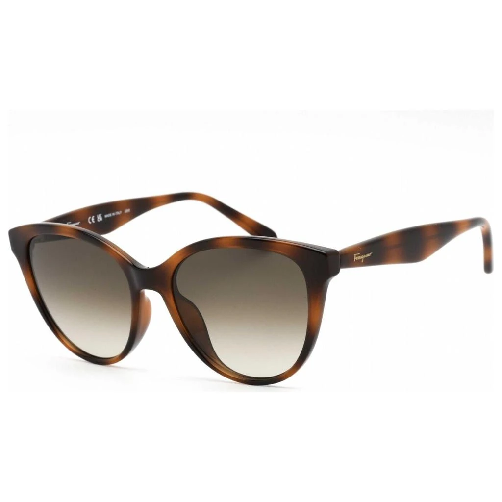 商品Salvatore Ferragamo|Ferragamo Women's Sunglasses SF1073S-240,价格¥486,第1张图片