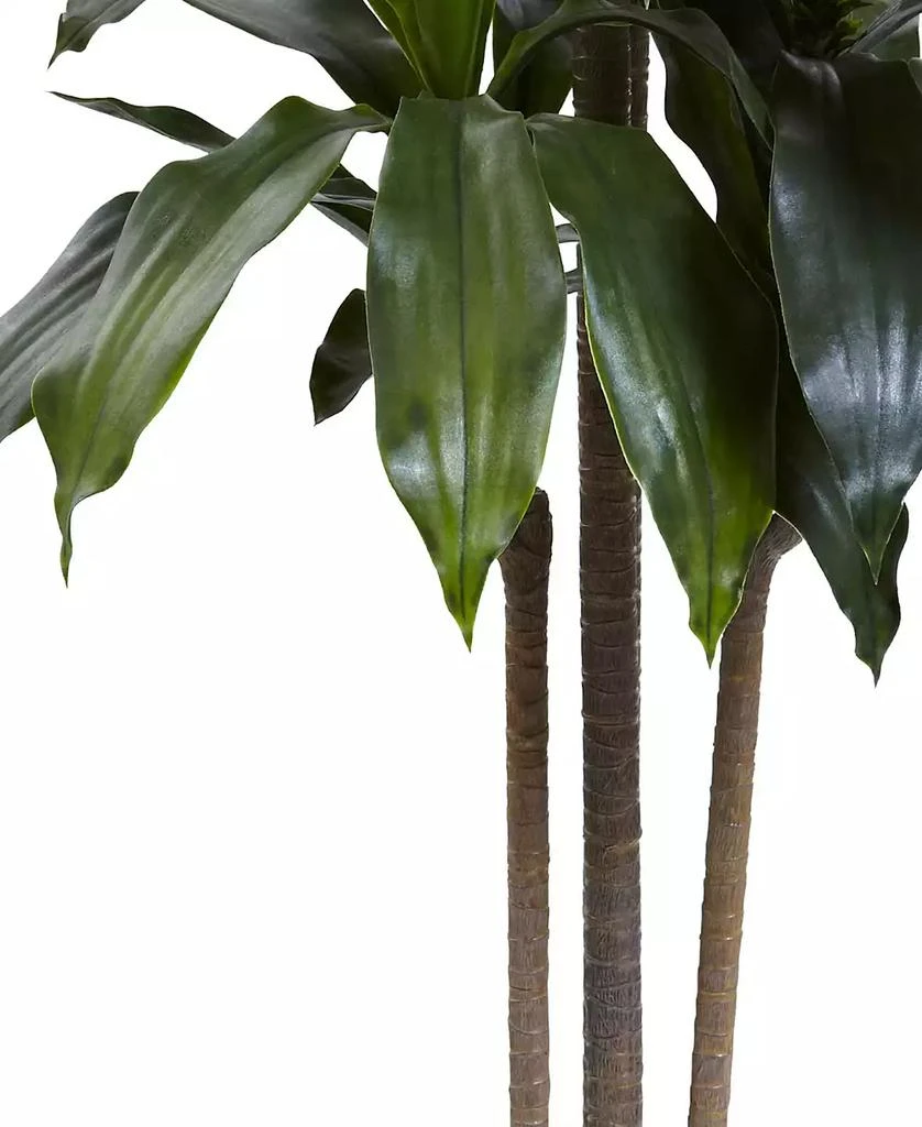 商品NEARLY NATURAL|5' Dracaena Plant UV Resistant,价格¥1505,第3张图片详细描述