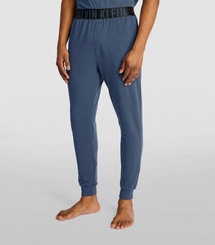 商品Calvin Klein|Intense Power Lounge Sweatpants,价格¥579,第3张图片详细描述