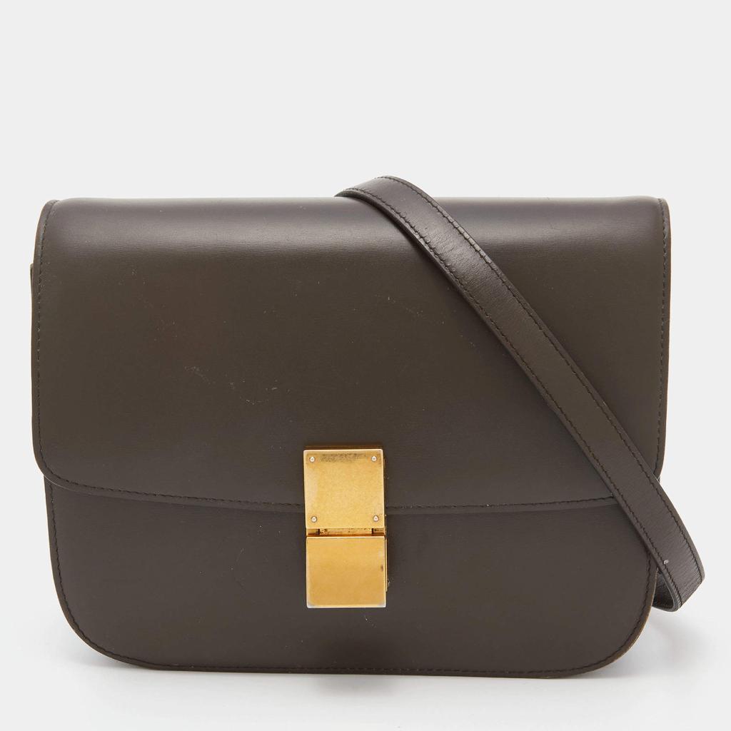 CELINE Triomphe Canvas Medium Messenger Bag in Triomphe Canvas with Celine  print (194502BZK.04LE)