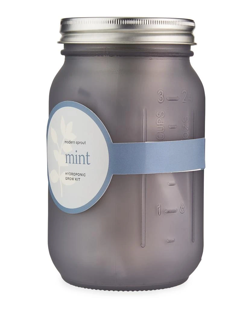 商品Modern Sprout|Garden Jar - Mint,价格¥92,第3张图片详细描述