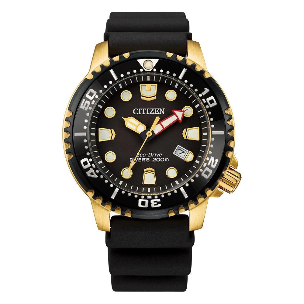 商品Citizen|Citizen Gents Eco-Drive Promaster 200M Diver Strap Watch,价格¥2709,第1张图片