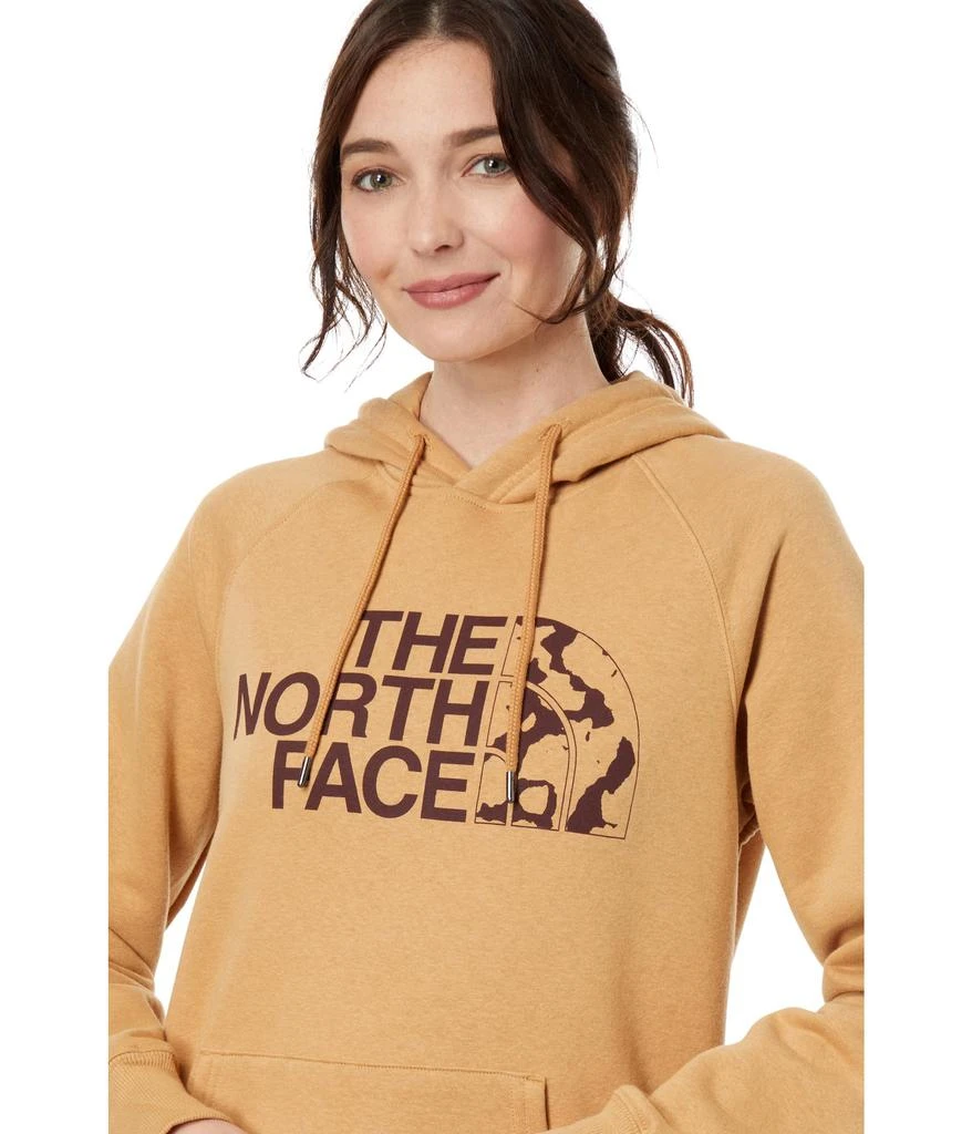 商品The North Face|Half Dome Pullover Hoodie,价格¥309,第3张图片详细描述