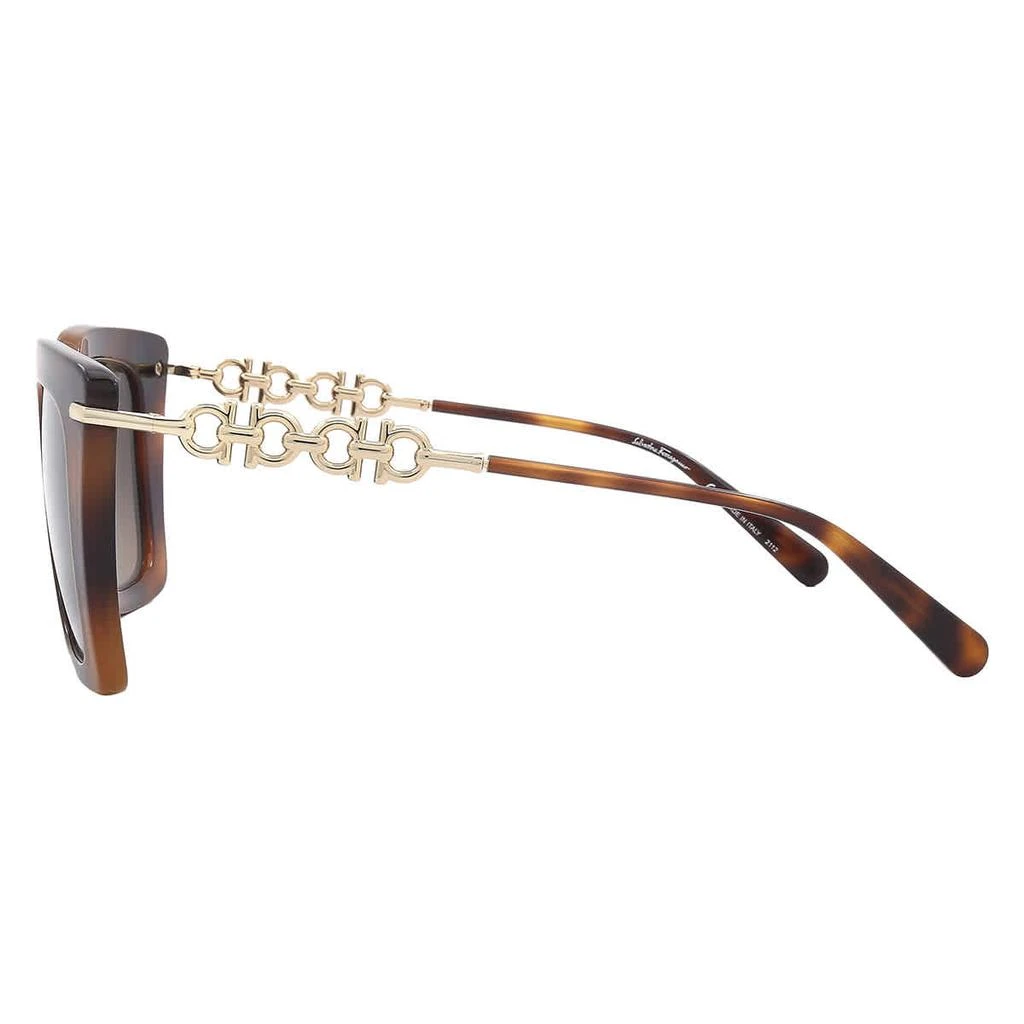 商品Salvatore Ferragamo|Brown Gradient Butterfly Ladies Sunglasses SF1041S 238 51,价格¥521,第3张图片详细描述