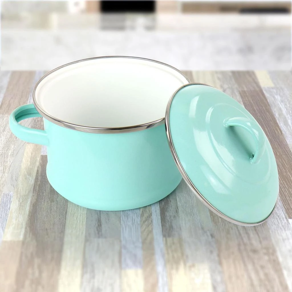 商品Martha Stewart|Enamel On Steel Mini Dutch Oven,价格¥212,第5张图片详细描述