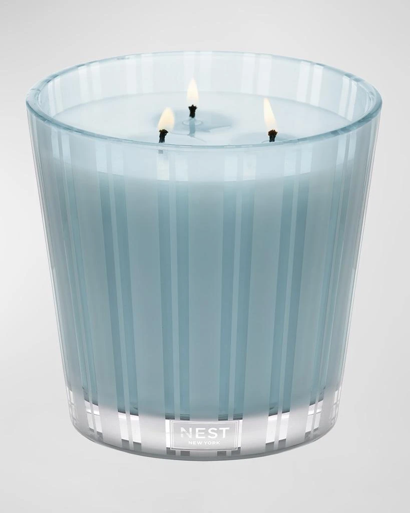 商品NEST New York|21.1 oz. Driftwood & Chamomile 3-Wick Candle,价格¥657,第2张图片详细描述