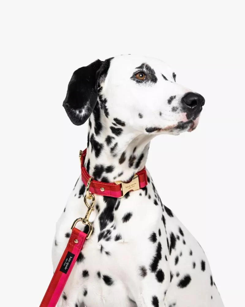 商品Kate Spade|Colorblock Leash,价格¥243,第4张图片详细描述