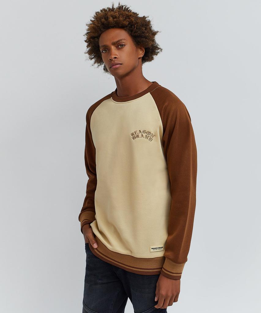 商品Reason Clothing|Nash Fleece Colorblocked Crewneck - Brown,价格¥289,第4张图片详细描述
