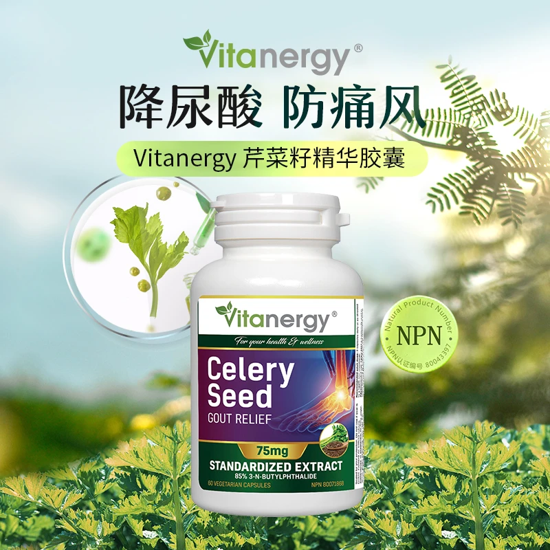 加拿大Vitanergy维生能芹菜籽精华150粒/瓶 缓解痛风 降低尿酸 | Celery Seed VCAP 150 【 2025年7月有效期】 商品