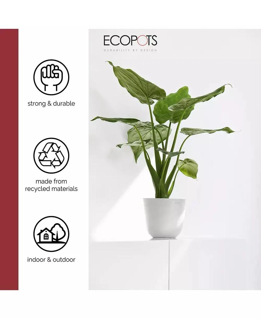 商品ECOPOTS|Oslo Durable Indoor and Outdoor Planter, 6in,价格¥167,第2张图片详细描述