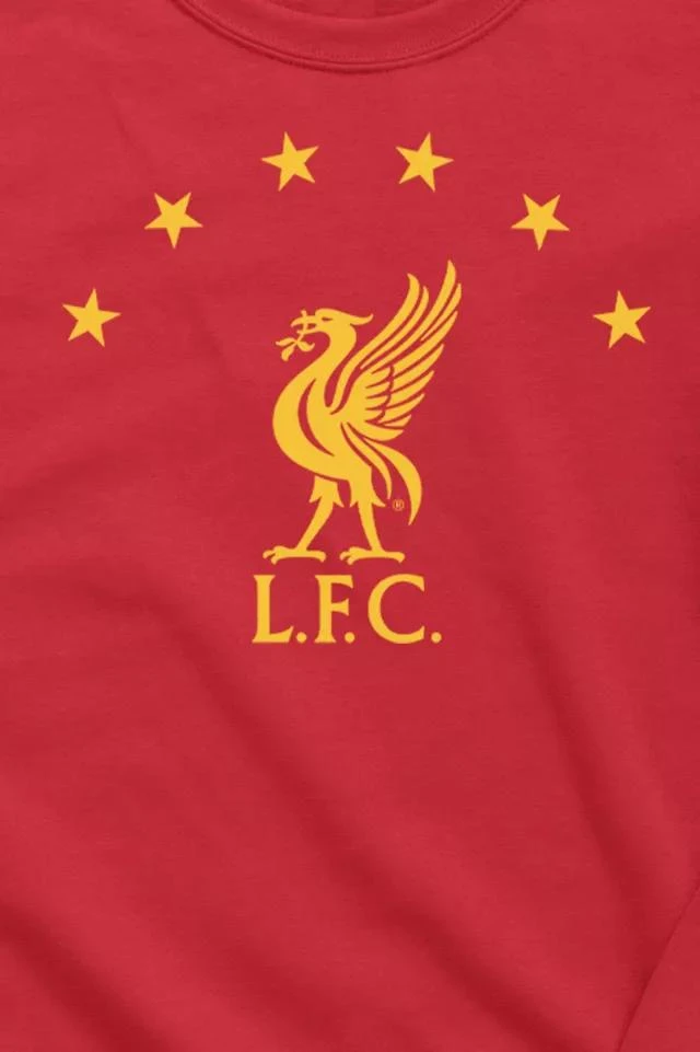 商品Urban Outfitters|Liverpool LFC Stars Logo Crew Neck Sweatshirt,价格¥233,第2张图片详细描述