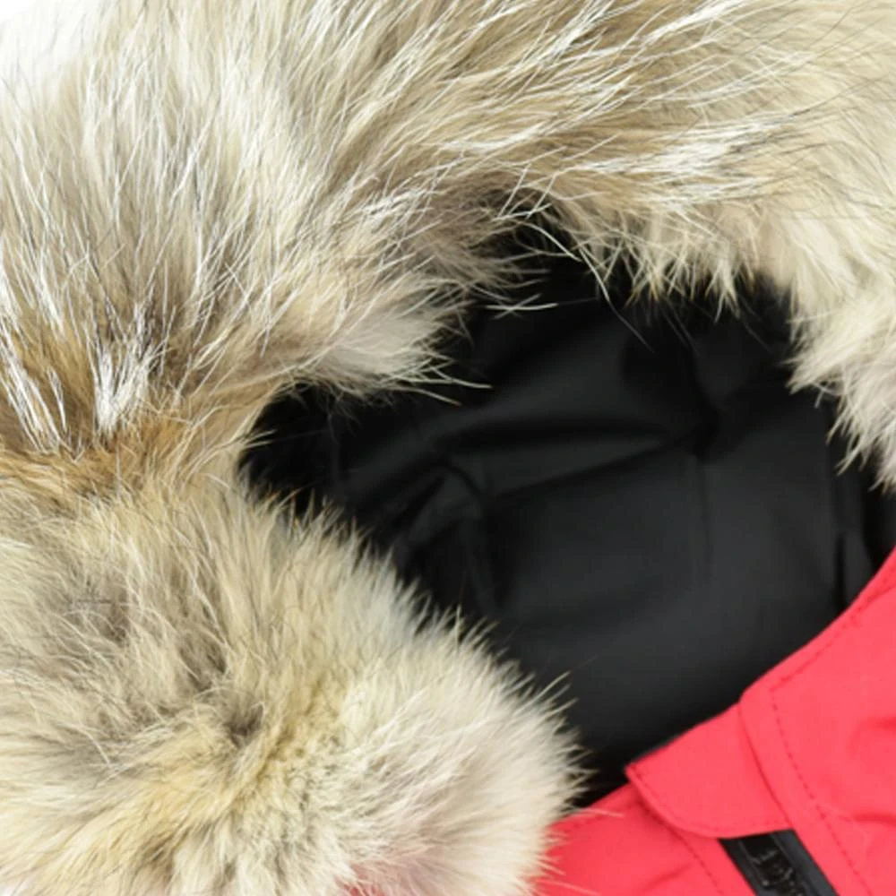 商品Canada Goose|Red Grizzly Bomber Jacket,价格¥4852,第5张图片详细描述