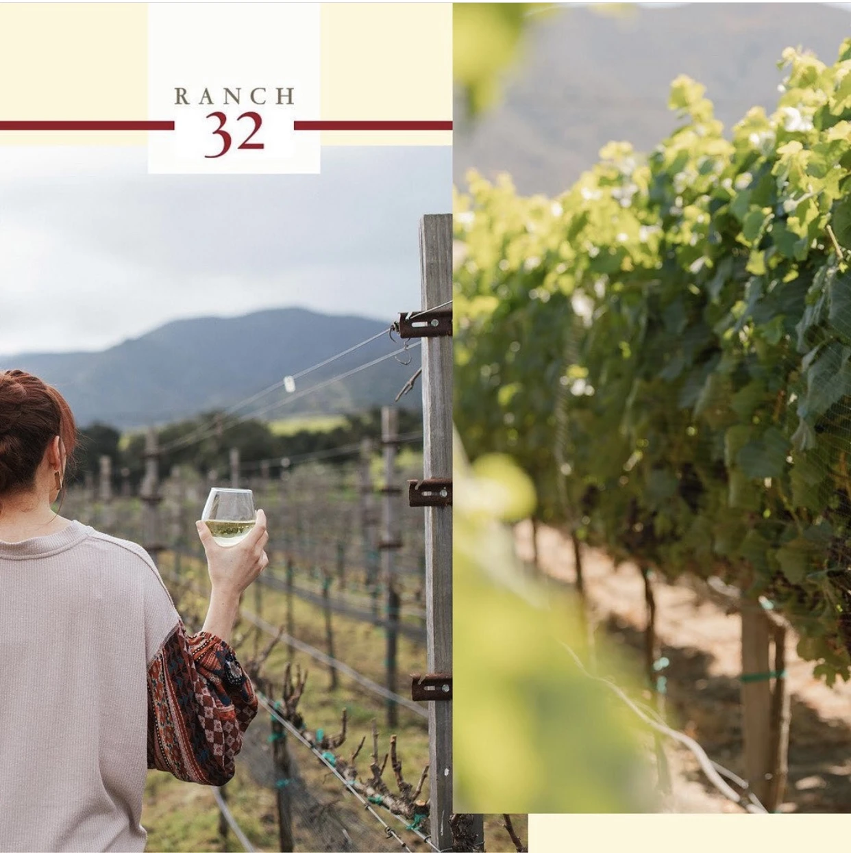 32领域赤霞珠干红葡萄酒 2017 | Ranch 32 Cabernet Sauvignon 2017 (Monterey, CA) 商品