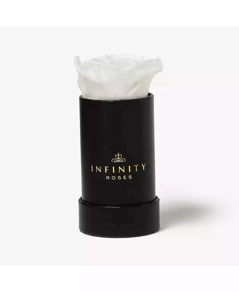 商品Infinity Roses|Single White Real Rose Preserved To Last Over A Year,价格¥299,第1张图片