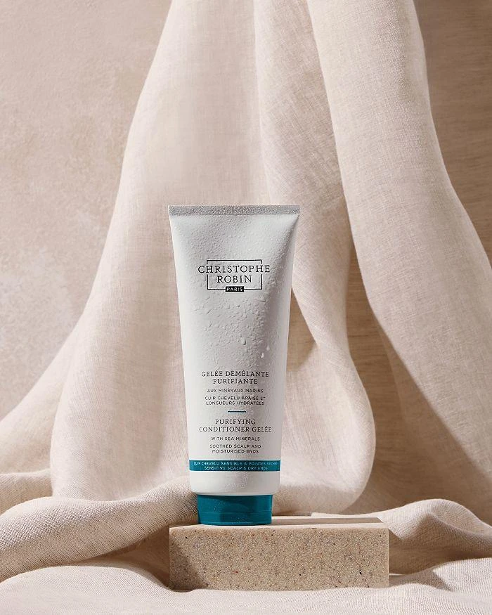商品Christophe Robin|Purifying Conditioner Gelée 6.8 oz.,价格¥310,第3张图片详细描述