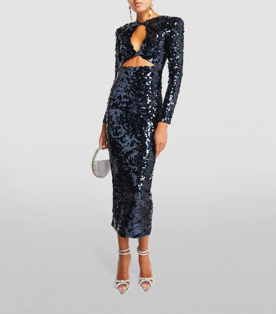 商品The New Arrivals Ilkyaz Ozel|Sequinned Dalida Midi Dress,价格¥11103,第2张图片详细描述