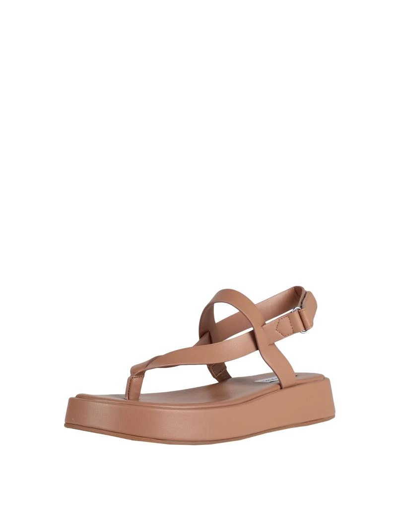 商品Steve Madden|Flip flops,价格¥687,第2张图片详细描述