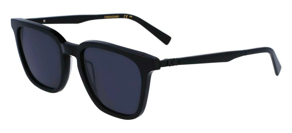 商品Salvatore Ferragamo|Salvatore Ferragamo Eyewear Square Frame Sunglasses,价格¥1494,第2张图片详细描述