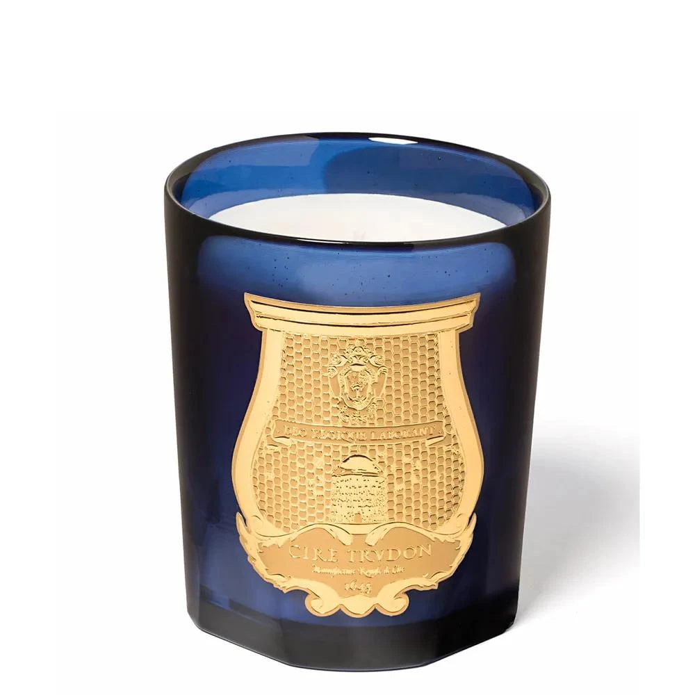 商品Cire Trudon|Salta 葡萄柚 270克,价格¥379,第2张图片详细描述